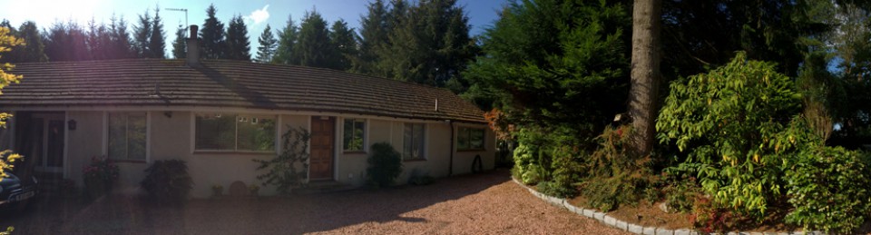 The Wood @ Bridge of Weir